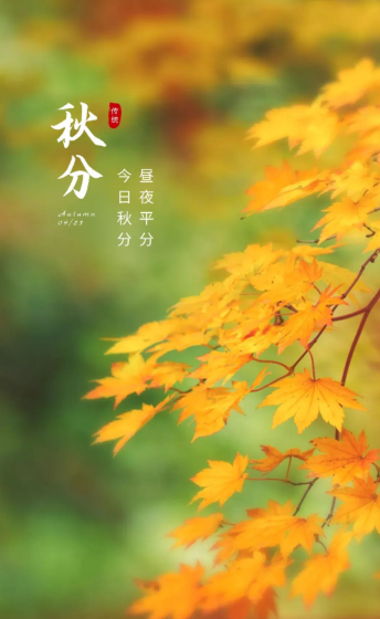 圖片-秋分.png